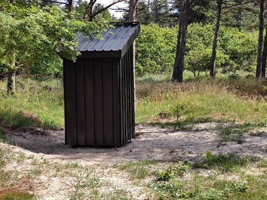 Skovens dag 25